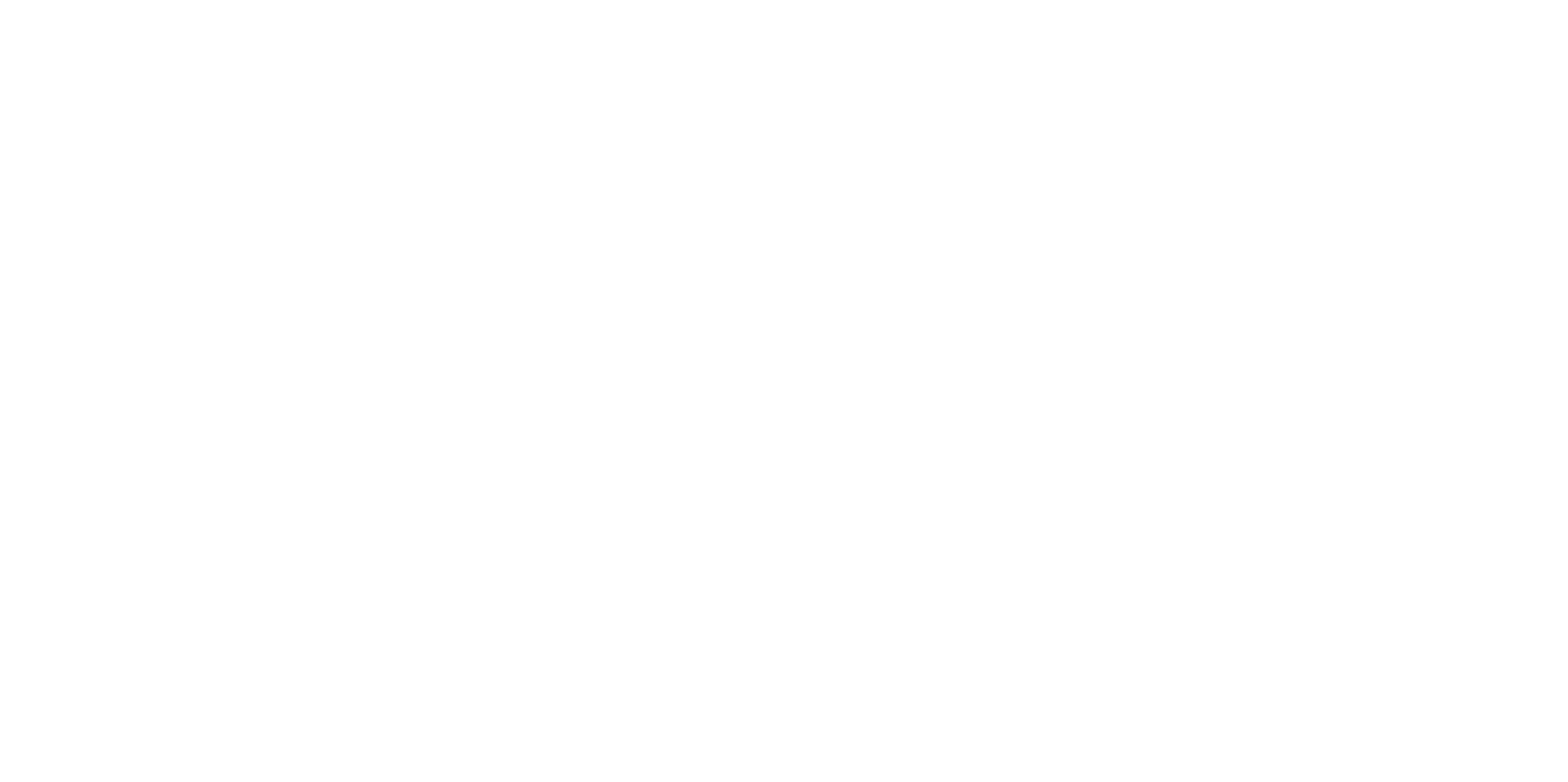 Laura navarro