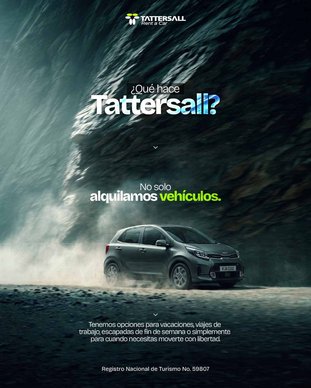 CONOCE TATTERSALL