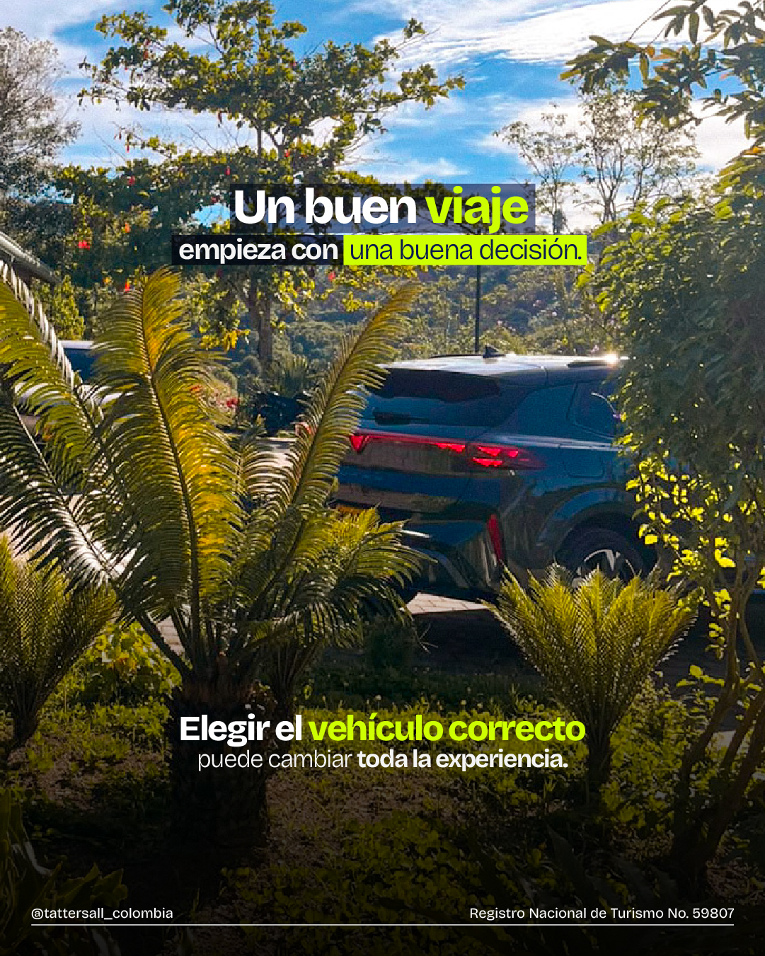 UN BUEN VIAJE CON TATTERSALL